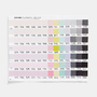 PANTONE_7-9-24_1500x1500_ongrey_FHI2489.jpg